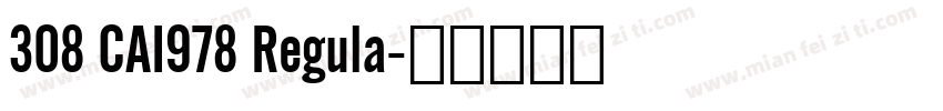 308 CAI978 Regula字体转换